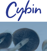 Cybin Corp.